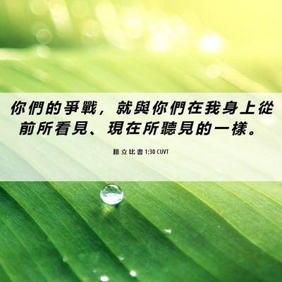 Picture 06 - 腓 立 比 書 1:30 CUVT - 你 們 的 爭 戰 ， 就 與 你 們 在 我 - Bible Verse Picture