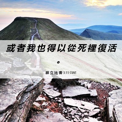 Picture 06 - 腓 立 比 書 3:11 CUVT - 或 者 我 也 得 以 從 死 裡 復 活 - Bible Verse Picture