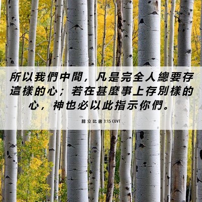 Picture 06 - 腓 立 比 書 3:15 CUVT - 所 以 我 們 中 間 ， 凡 是 完 全 人 - Bible Verse Picture