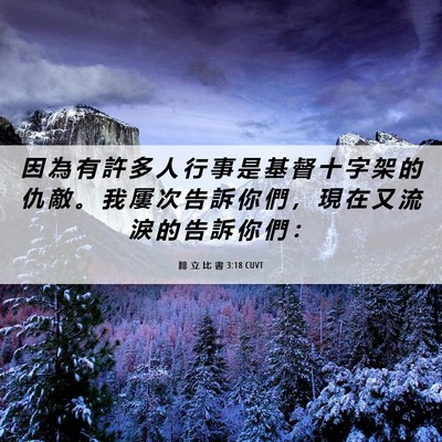 Picture 06 - 腓 立 比 書 3:18 CUVT - 因 為 有 許 多 人 行 事 是 基 督 十 - Bible Verse Picture
