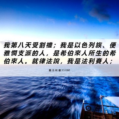 Picture 06 - 腓 立 比 書 3:5 CUVT - 我 第 八 天 受 割 禮 ； 我 是 以 色 - Bible Verse Picture