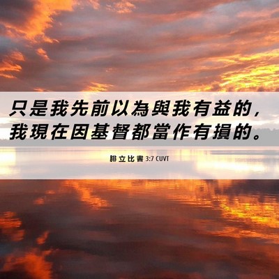 Picture 06 - 腓 立 比 書 3:7 CUVT - 只 是 我 先 前 以 為 與 我 有 益 的 - Bible Verse Picture