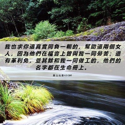 Picture 06 - 腓 立 比 書 4:3 CUVT - 我 也 求 你 這 真 實 同 負 一 軛 的 - Bible Verse Picture