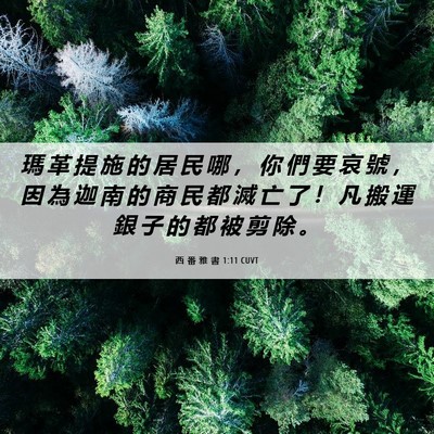 Picture 06 - 西 番 雅 書 1:11 CUVT - 瑪 革 提 施 的 居 民 哪 ， 你 們 要 - Bible Verse Picture