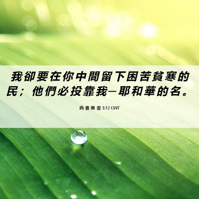 Picture 06 - 西 番 雅 書 3:12 CUVT - 我 卻 要 在 你 中 間 留 下 困 苦 貧 - Bible Verse Picture