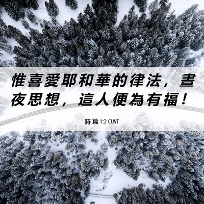 Picture 06 - 詩 篇 1:2 CUVT - 惟 喜 愛 耶 和 華 的 律 法 ， 晝 夜 - Bible Verse Picture