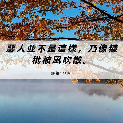 Picture 06 - 詩 篇 1:4 CUVT - 惡 人 並 不 是 這 樣 ， 乃 像 糠 秕 - Bible Verse Picture