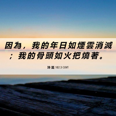Picture 06 - 詩 篇 102:3 CUVT - 因 為 ， 我 的 年 日 如 煙 雲 消 滅 - Bible Verse Picture