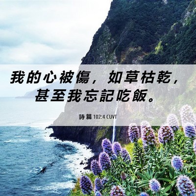 Picture 06 - 詩 篇 102:4 CUVT - 我 的 心 被 傷 ， 如 草 枯 乾 ， 甚 - Bible Verse Picture