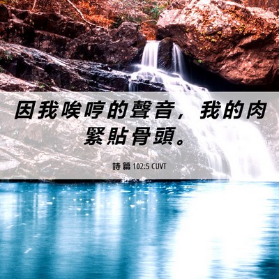 Picture 06 - 詩 篇 102:5 CUVT - 因 我 唉 哼 的 聲 音 ， 我 的 肉 緊 - Bible Verse Picture