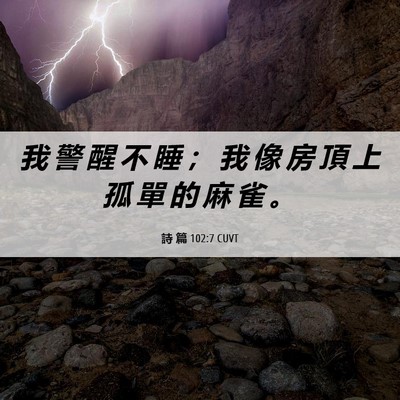 Picture 06 - 詩 篇 102:7 CUVT - 我 警 醒 不 睡 ； 我 像 房 頂 上 孤 - Bible Verse Picture