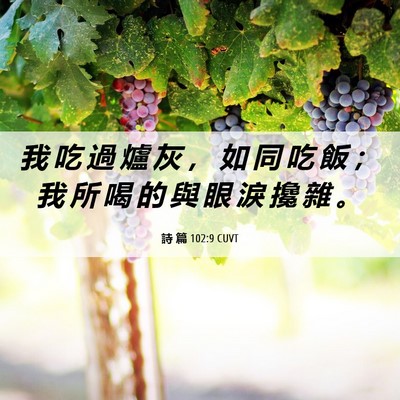 Picture 06 - 詩 篇 102:9 CUVT - 我 吃 過 爐 灰 ， 如 同 吃 飯 ； 我 - Bible Verse Picture