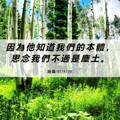 Picture 06 - 詩 篇 103:14 CUVT - 因 為 他 知 道 我 們 的 本 體 ， 思 - Bible Verse Picture