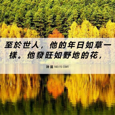 Picture 06 - 詩 篇 103:15 CUVT - 至 於 世 人 ， 他 的 年 日 如 草 一 - Bible Verse Picture