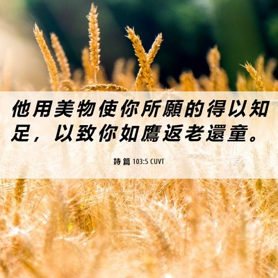 Picture 06 - 詩 篇 103:5 CUVT - 他 用 美 物 使 你 所 願 的 得 以 知 - Bible Verse Picture