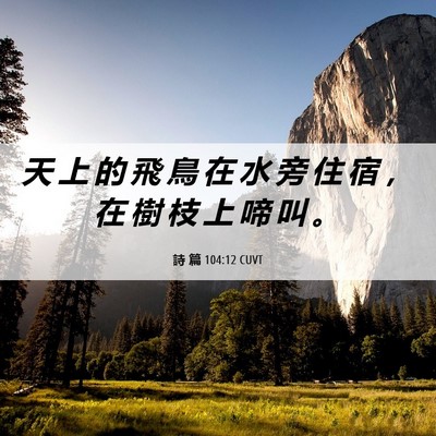Picture 06 - 詩 篇 104:12 CUVT - 天 上 的 飛 鳥 在 水 旁 住 宿 ， 在 - Bible Verse Picture