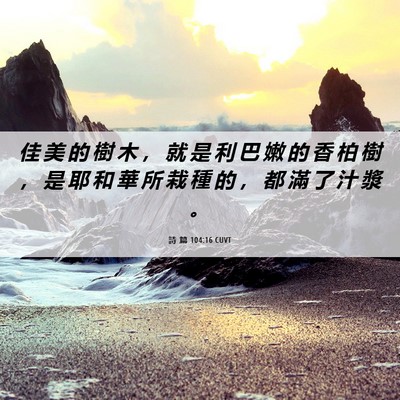 Picture 06 - 詩 篇 104:16 CUVT - 佳 美 的 樹 木 ， 就 是 利 巴 嫩 的 - Bible Verse Picture