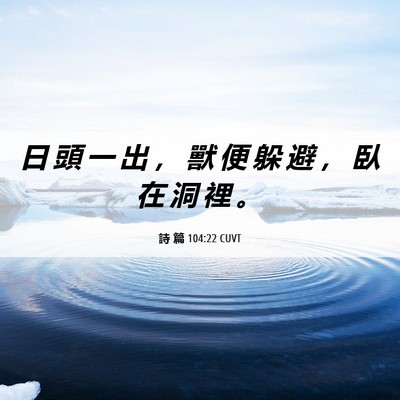 Picture 06 - 詩 篇 104:22 CUVT - 日 頭 一 出 ， 獸 便 躲 避 ， 臥 在 - Bible Verse Picture