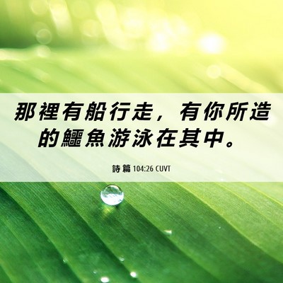 Picture 06 - 詩 篇 104:26 CUVT - 那 裡 有 船 行 走 ， 有 你 所 造 的 - Bible Verse Picture