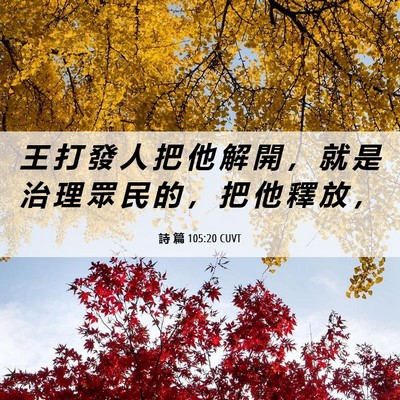Picture 06 - 詩 篇 105:20 CUVT - 王 打 發 人 把 他 解 開 ， 就 是 治 - Bible Verse Picture