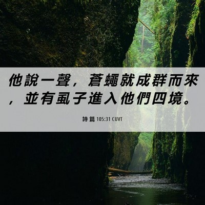 Picture 06 - 詩 篇 105:31 CUVT - 他 說 一 聲 ， 蒼 蠅 就 成 群 而 來 - Bible Verse Picture