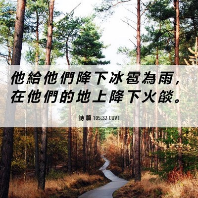 Picture 06 - 詩 篇 105:32 CUVT - 他 給 他 們 降 下 冰 雹 為 雨 ， 在 - Bible Verse Picture