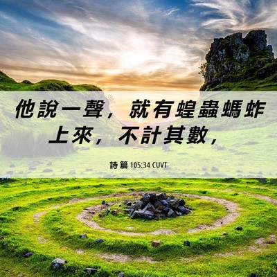 Picture 06 - 詩 篇 105:34 CUVT - 他 說 一 聲 ， 就 有 蝗 蟲 螞 蚱 上 - Bible Verse Picture
