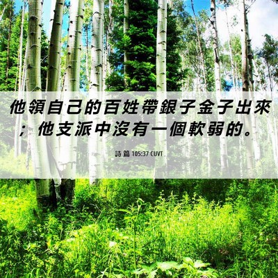 Picture 06 - 詩 篇 105:37 CUVT - 他 領 自 己 的 百 姓 帶 銀 子 金 子 - Bible Verse Picture