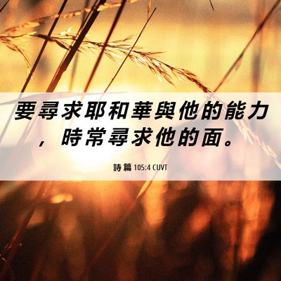 Picture 06 - 詩 篇 105:4 CUVT - 要 尋 求 耶 和 華 與 他 的 能 力 ， - Bible Verse Picture