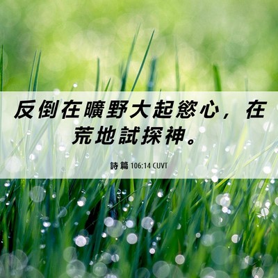 Picture 06 - 詩 篇 106:14 CUVT - 反 倒 在 曠 野 大 起 慾 心 ， 在 荒 - Bible Verse Picture