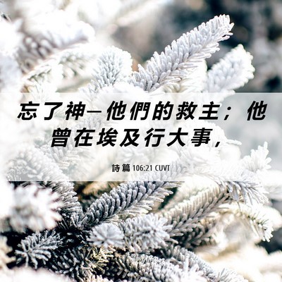 Picture 06 - 詩 篇 106:21 CUVT - 忘 了 神 ─ 他 們 的 救 主 ； 他 曾 - Bible Verse Picture