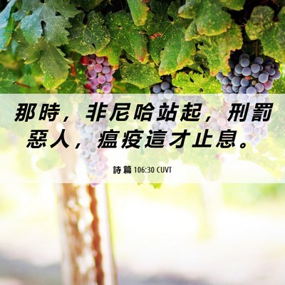 Picture 06 - 詩 篇 106:30 CUVT - 那 時 ， 非 尼 哈 站 起 ， 刑 罰 惡 - Bible Verse Picture