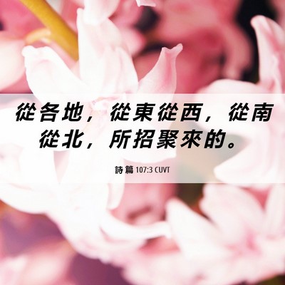 Picture 06 - 詩 篇 107:3 CUVT - 從 各 地 ， 從 東 從 西 ， 從 南 從 - Bible Verse Picture