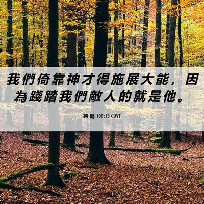 Picture 06 - 詩 篇 108:13 CUVT - 我 們 倚 靠 神 才 得 施 展 大 能 ， - Bible Verse Picture