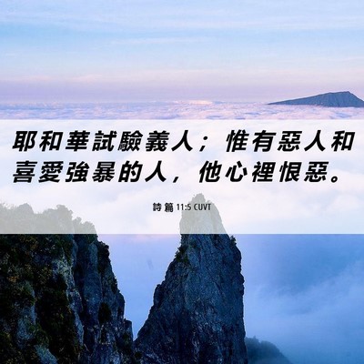 Picture 06 - 詩 篇 11:5 CUVT - 耶 和 華 試 驗 義 人 ； 惟 有 惡 人 - Bible Verse Picture