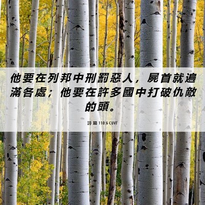 Picture 06 - 詩 篇 110:6 CUVT - 他 要 在 列 邦 中 刑 罰 惡 人 ， 屍 - Bible Verse Picture