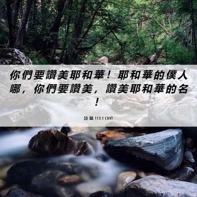 Picture 06 - 詩 篇 113:1 CUVT - 你 們 要 讚 美 耶 和 華 ！ 耶 和 華 - Bible Verse Picture