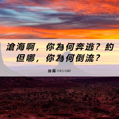 Picture 06 - 詩 篇 114:5 CUVT - 滄 海 啊 ， 你 為 何 奔 逃 ？ 約 但 - Bible Verse Picture
