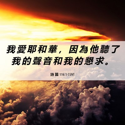 Picture 06 - 詩 篇 116:1 CUVT - 我 愛 耶 和 華 ， 因 為 他 聽 了 我 - Bible Verse Picture