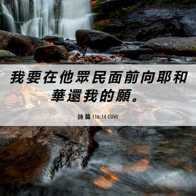 Picture 06 - 詩 篇 116:14 CUVT - 我 要 在 他 眾 民 面 前 向 耶 和 華 - Bible Verse Picture