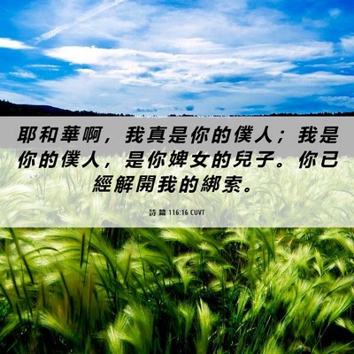 Picture 06 - 詩 篇 116:16 CUVT - 耶 和 華 啊 ， 我 真 是 你 的 僕 人 - Bible Verse Picture