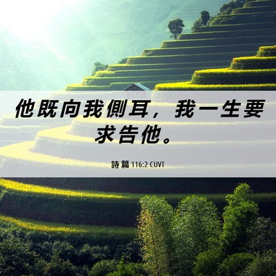 Picture 06 - 詩 篇 116:2 CUVT - 他 既 向 我 側 耳 ， 我 一 生 要 求 - Bible Verse Picture