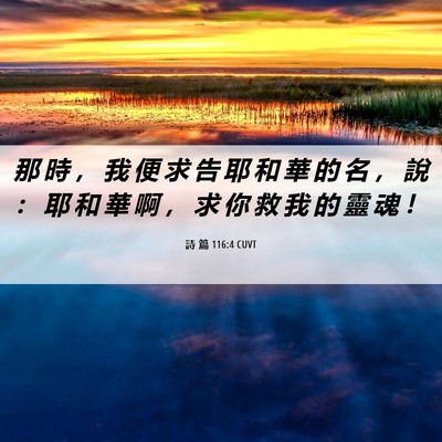 Picture 06 - 詩 篇 116:4 CUVT - 那 時 ， 我 便 求 告 耶 和 華 的 名 - Bible Verse Picture