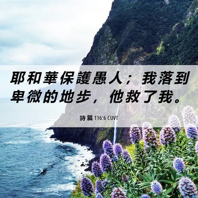 Picture 06 - 詩 篇 116:6 CUVT - 耶 和 華 保 護 愚 人 ； 我 落 到 卑 - Bible Verse Picture