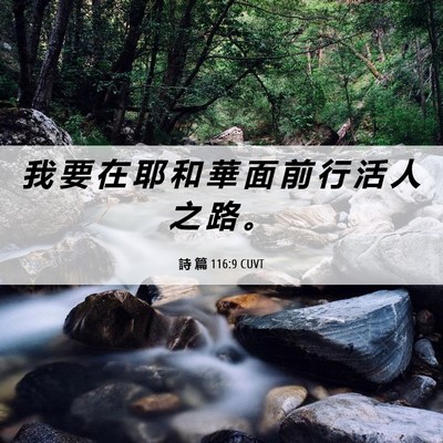 Picture 06 - 詩 篇 116:9 CUVT - 我 要 在 耶 和 華 面 前 行 活 人 之 - Bible Verse Picture