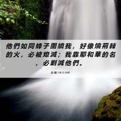 Picture 06 - 詩 篇 118:12 CUVT - 他 們 如 同 蜂 子 圍 繞 我 ， 好 像 - Bible Verse Picture