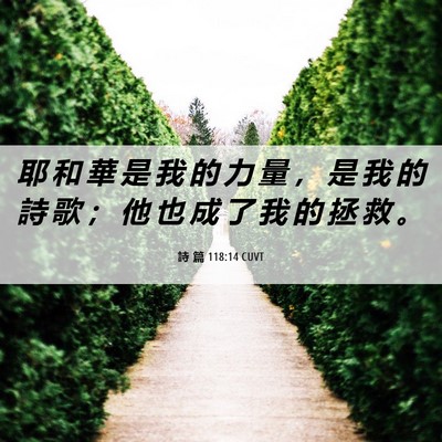 Picture 06 - 詩 篇 118:14 CUVT - 耶 和 華 是 我 的 力 量 ， 是 我 的 - Bible Verse Picture