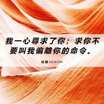 Picture 06 - 詩 篇 119:10 CUVT - 我 一 心 尋 求 了 你 ； 求 你 不 要 - Bible Verse Picture