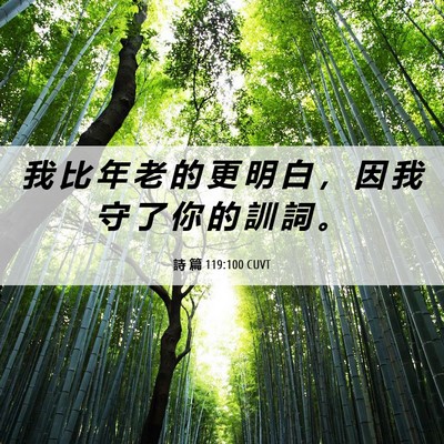 Picture 06 - 詩 篇 119:100 CUVT - 我 比 年 老 的 更 明 白 ， 因 我 守 - Bible Verse Picture