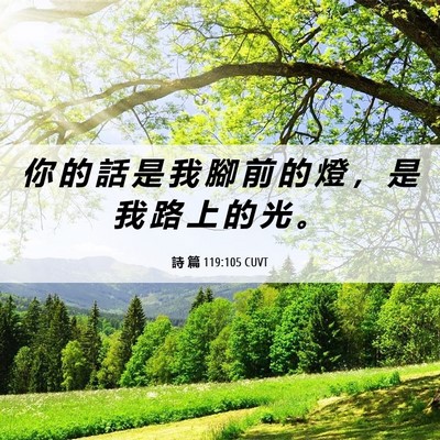 Picture 06 - 詩 篇 119:105 CUVT - 你 的 話 是 我 腳 前 的 燈 ， 是 我 - Bible Verse Picture